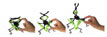 Arm sequence
